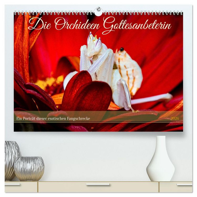 Produktbild: Die Orchideen Gottesanbeterin (hochwertiger Premium Wandkalender 2026 DIN A2 quer), Kunstdruck in Hochglanz