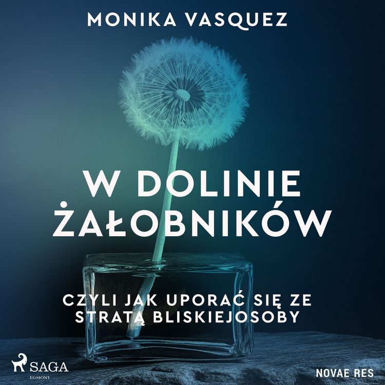 Produktbild: W Dolinie Żałobnik&oacute;w, czyli jak uporać się ze stratą bliskiej osoby