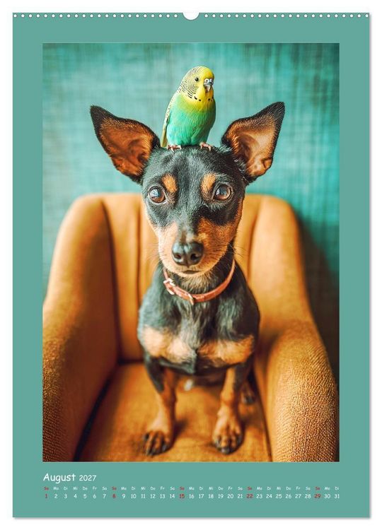 Produktbild: Mini-Pinscher. Kleine Hunde in sch&ouml;nen Momenten (hochwertiger Premium Wandkalender 2027 DIN A2 hoch), Kunstdruck in Hochglanz