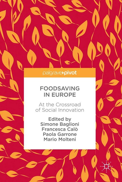 Produktbild: Foodsaving in Europe