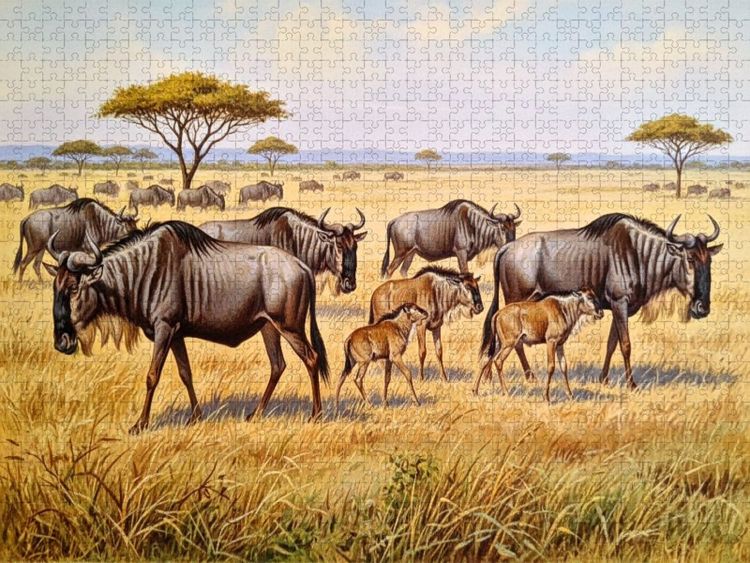 Produktbild: CALVENDO Puzzle Gem&auml;lde einer Herde Gnus in Afrika | 1000 Teile Lege-Gr&ouml;&szlig;e 64x48cm Foto-Puzzle f&uuml;r gl&uuml;ckliche Stunden