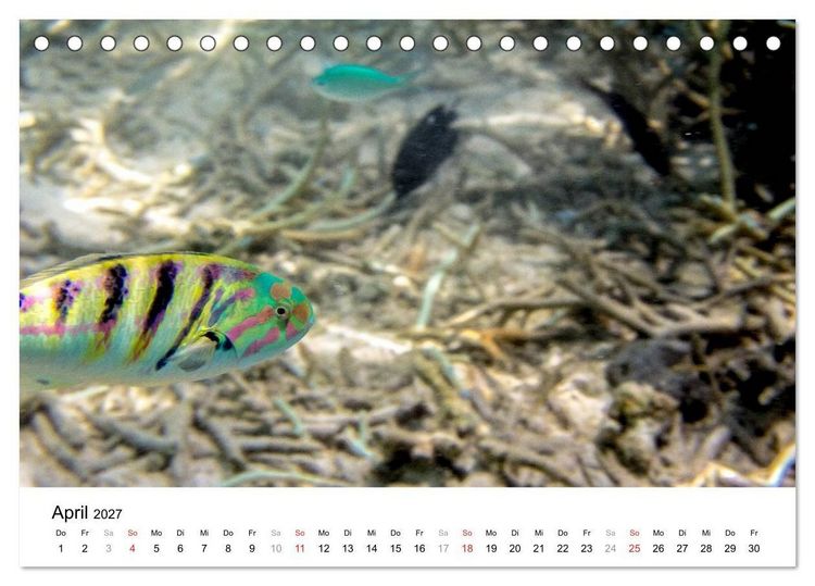 Produktbild: Unterwasserwelt der Malediven II (Tischkalender 2027 DIN A5 quer), CALVENDO Monatskalender