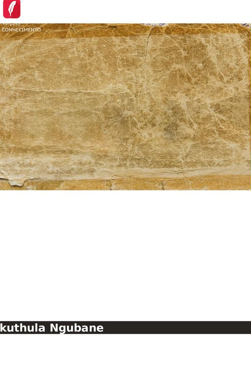 Produktbild: A maternidade precoce no contexto do subs&iacute;dio de apoio &agrave; crian&ccedil;a