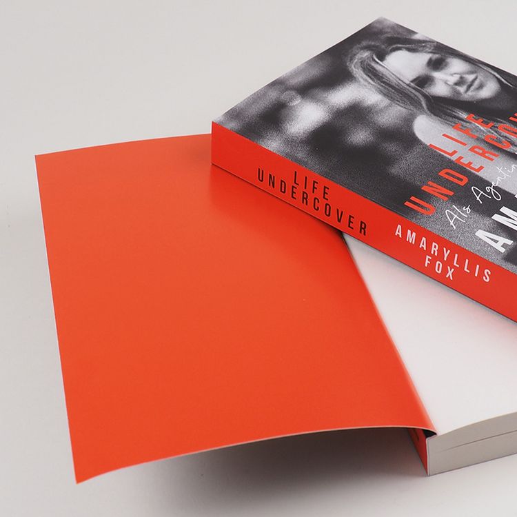Produktbild: Life Undercover