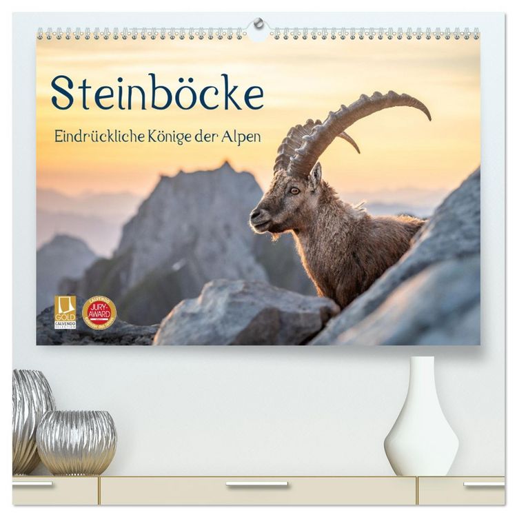 Produktbild: Steinb&ouml;cke - Eindr&uuml;ckliche K&ouml;nige der Alpen (hochwertiger Premium Wandkalender 2027 DIN A2 quer), Kunstdruck in Hochglanz