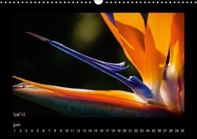 Produktbild: Liatard, A: Fleurs et couleurs (Calendrier mural Calendrier