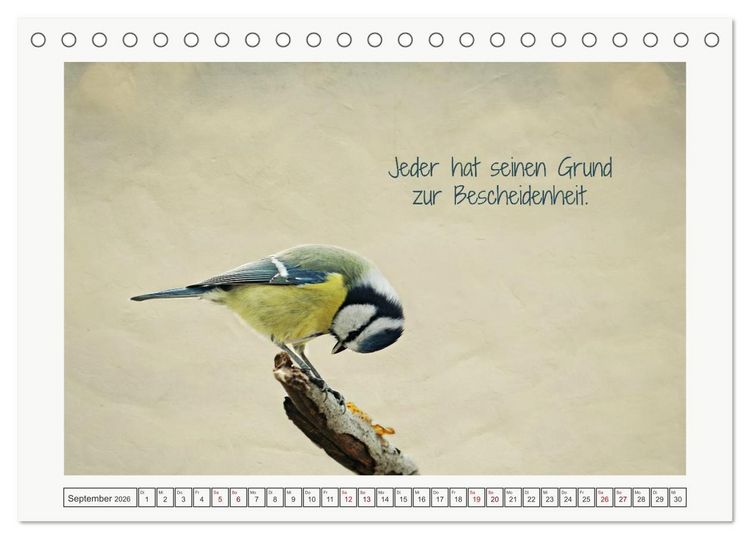 Produktbild: Irische Segensw&uuml;nsche (Tischkalender 2026 DIN A5 quer), CALVENDO Monatskalender