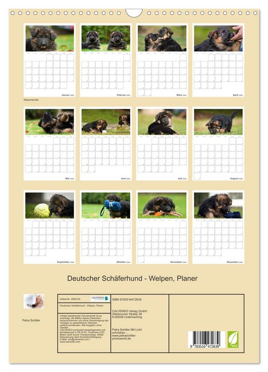Produktbild: Deutscher Sch&auml;ferhund - Welpen, Planer (Wandkalender 2026 DIN A3 hoch), CALVENDO Monatskalender