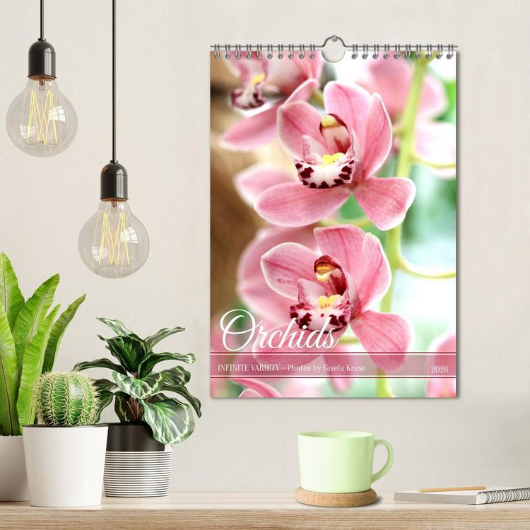 Produktbild: Orchids - Infinite Variety (Wall Calendar 2026 DIN A4 portrait), CALVENDO 12 Month Wall Calendar