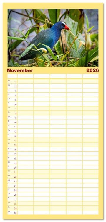 Produktbild: Familienplaner 2026 - Phantastische Vogelwelt Costa Rica mit 5 Spalten (Wandkalender, 21 x 45 cm) CALVENDO
