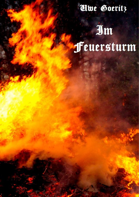 Produktbild: Im Feuersturm