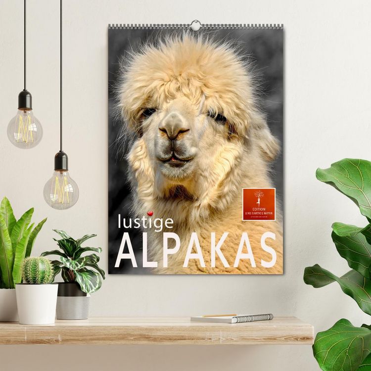 Produktbild: Lustige Alpakas (Wandkalender 2026 DIN A2 hoch), CALVENDO Monatskalender
