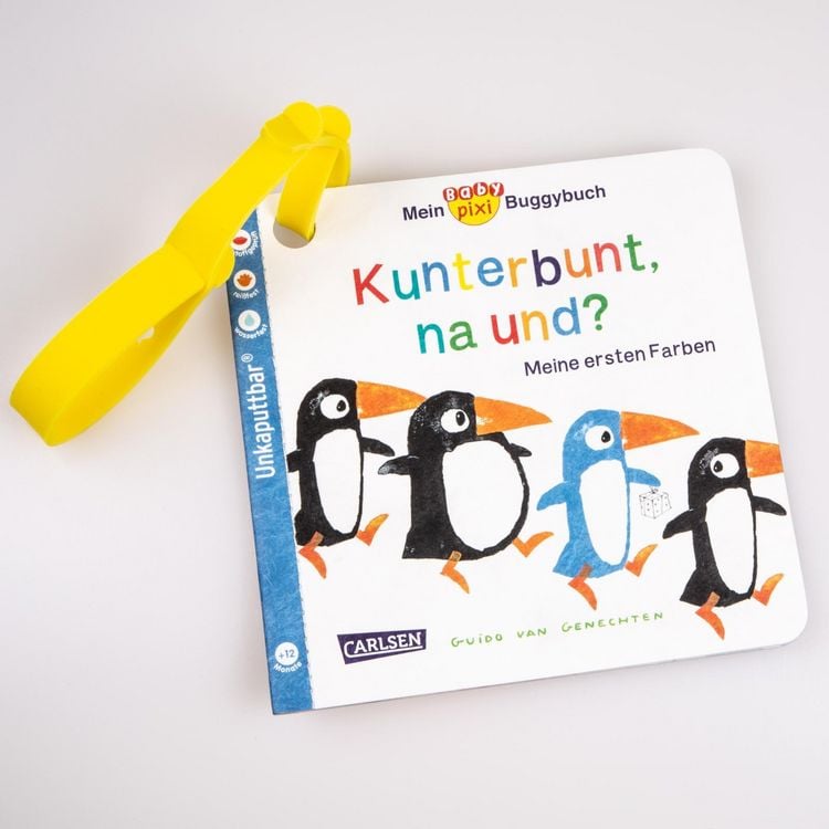 Produktbild: Baby Pixi (unkaputtbar) 83: Mein Baby-Pixi-Buggybuch: Kunterbunt, na und?
