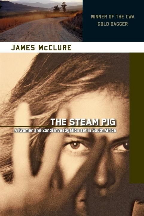 Produktbild: The Steam Pig