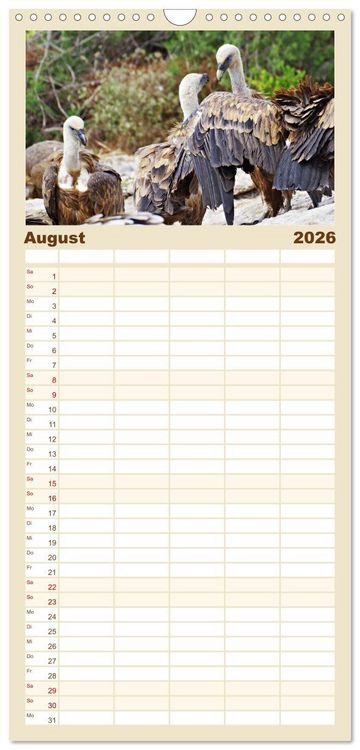 Produktbild: Familienplaner 2026 - Geier - die Gesundheitspolizei! mit 5 Spalten (Wandkalender, 21 x 45 cm) CALVENDO