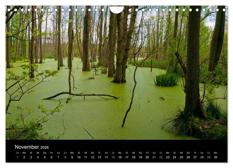 Produktbild: Brandenburg - Landschaften zwischen Elbe und Oder (Wandkalender 2026 DIN A4 quer), CALVENDO Monatskalender