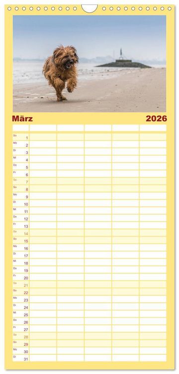 Produktbild: Familienplaner 2026 - Der Briard - Ein echter Charmeur mit 5 Spalten (Wandkalender, 21 x 45 cm) CALVENDO