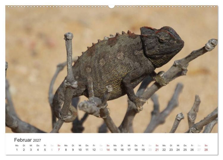 Produktbild: Namibia - Tierische Vielfalt (Wandkalender 2027 DIN A2 quer), CALVENDO Monatskalender