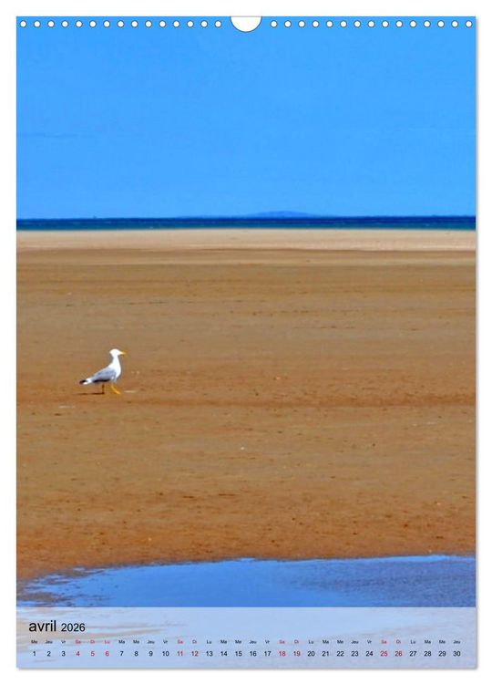 Produktbild: La mouette (Calendrier mural 2026 DIN A3 horizontal), CALVENDO calendrier mensuel