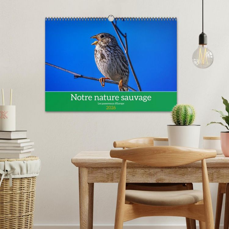 Produktbild: Notre nature sauvage, les passereaux d'Europe (Calendrier mural 2026 DIN A3 vertical), CALVENDO calendrier mensuel