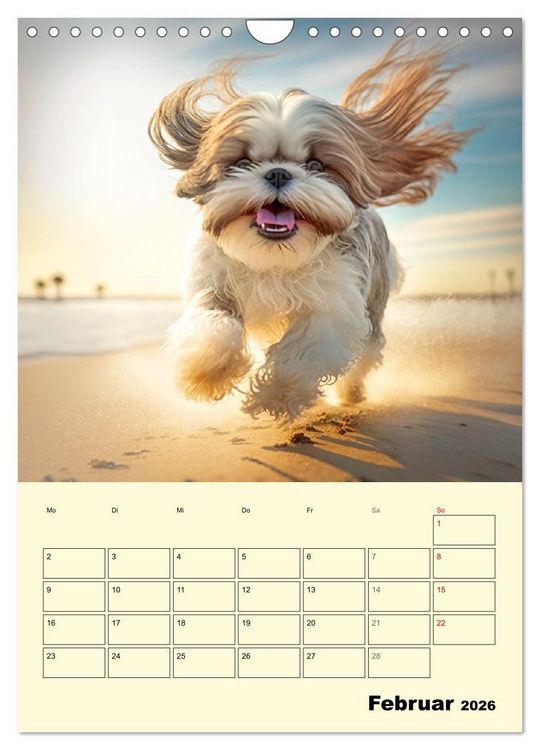 Produktbild: Shih Tzu Alarm. Gl&uuml;ckliche Wuschelk&ouml;pfe (Wandkalender 2026 DIN A4 hoch), CALVENDO Monatskalender