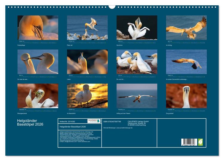 Produktbild: Helgol&auml;nder Basst&ouml;lpel 2026 (Wandkalender 2026 DIN A2 quer), CALVENDO Monatskalender