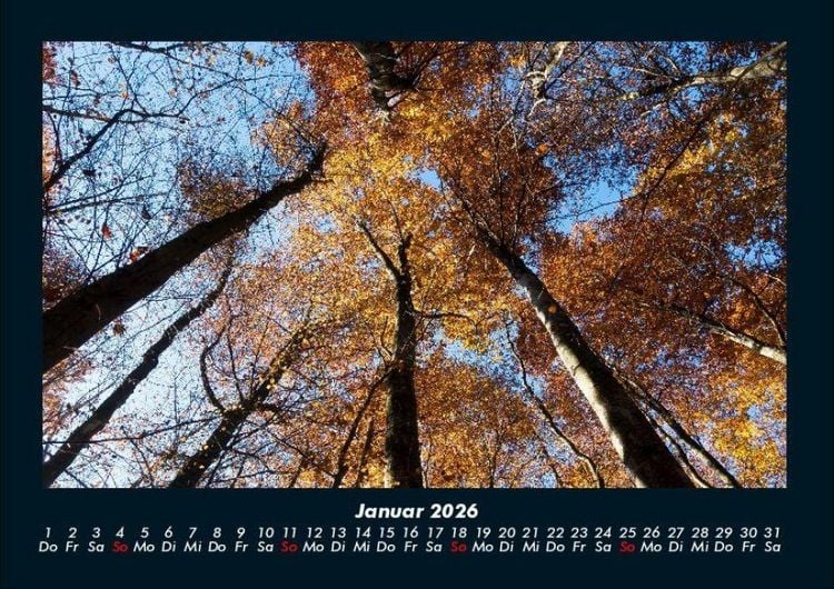 Produktbild: Waldzauber 2026 Fotokalender DIN A4