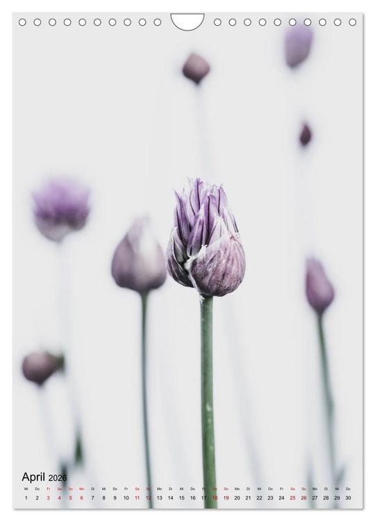 Produktbild: Pure Flowers (Wandkalender 2026 DIN A4 hoch), CALVENDO Monatskalender