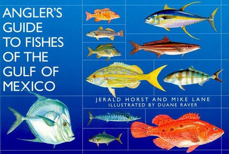 Produktbild: Angler's Guide to Fishes of the Gulf of Mexico