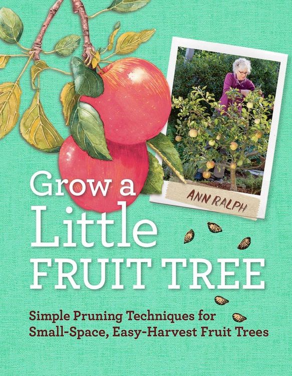 Produktbild: Grow a Little Fruit Tree