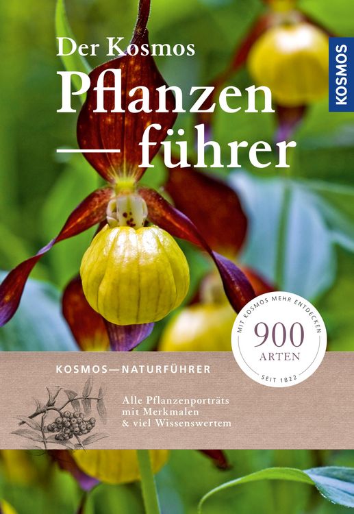 Produktbild: Der Kosmos-Pflanzenf&uuml;hrer