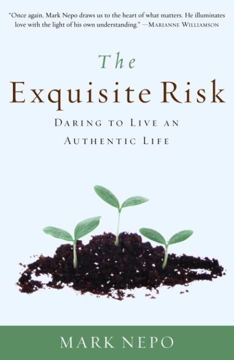 Produktbild: The Exquisite Risk