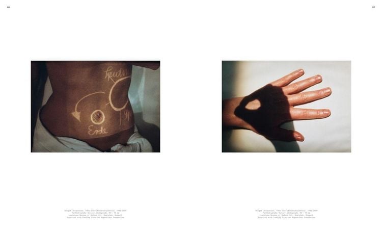 Produktbild: Louisiana Visits Franz Gertsch
