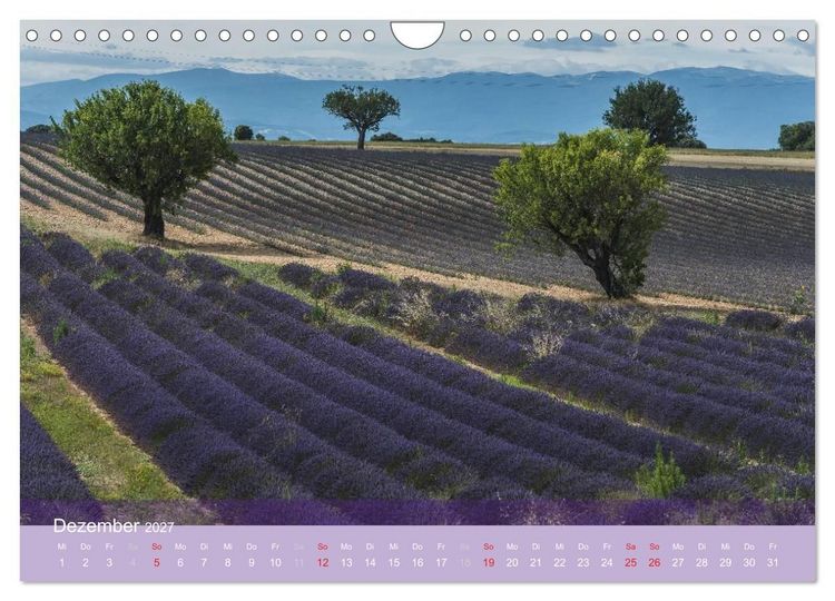 Produktbild: Die Farbe des Lavendels (Wandkalender 2027 DIN A4 quer), CALVENDO Monatskalender