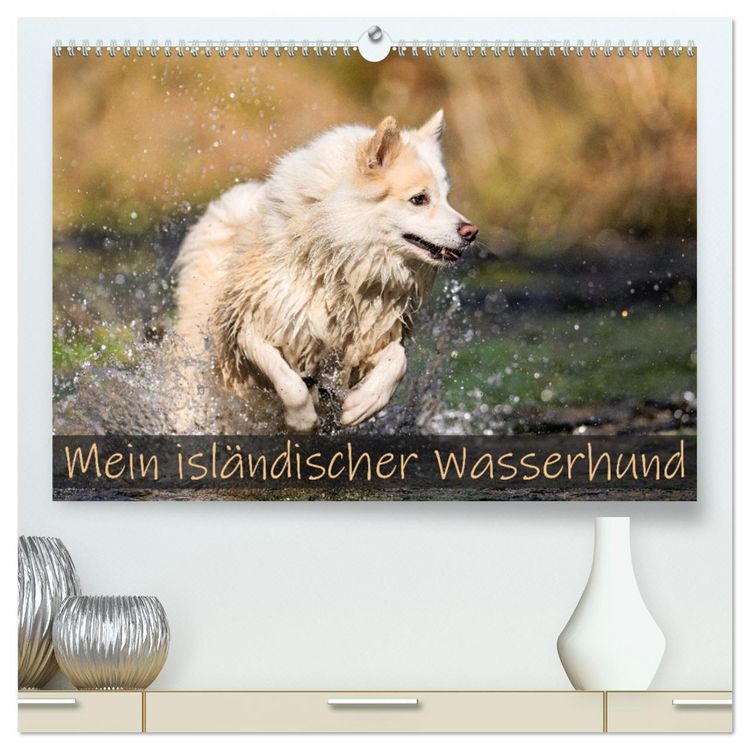 Produktbild: Mein isl&auml;ndischer Wasserhund (hochwertiger Premium Wandkalender 2026 DIN A2 quer), Kunstdruck in Hochglanz