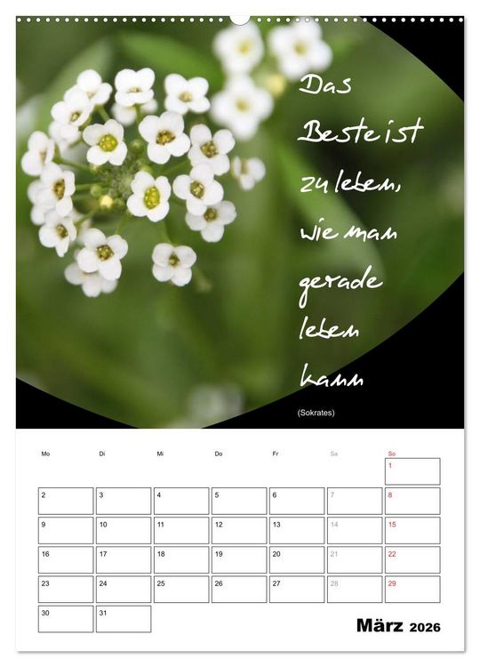 Produktbild: Spr&uuml;che und Weisheiten f&uuml;r&acute; s Jahr (Wandkalender 2026 DIN A2 hoch), CALVENDO Monatskalender