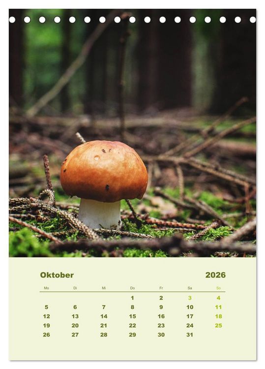 Produktbild: Wundersame Welt der Pilze (Tischkalender 2026 DIN A5 hoch), CALVENDO Monatskalender