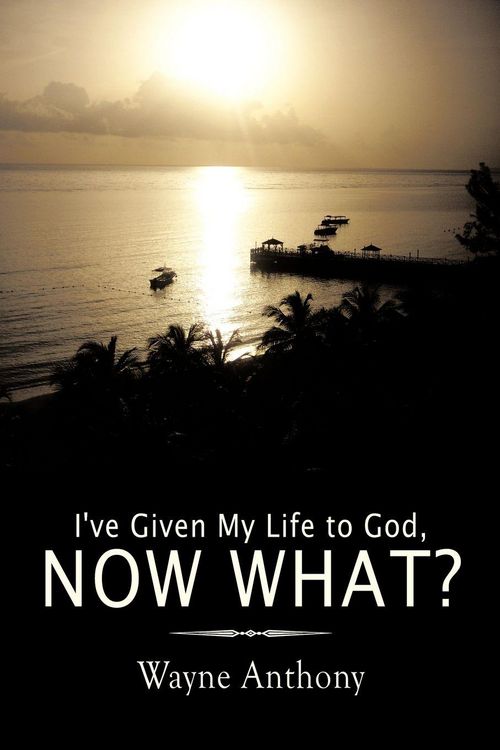 Produktbild: I've Given My Life to God, Now What?