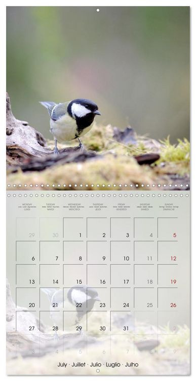 Produktbild: Le jardin des m&eacute;sanges (Calendrier mural carr&eacute; 2026 30x30 cm) Calendrier double avec une page pour vos prises de notes