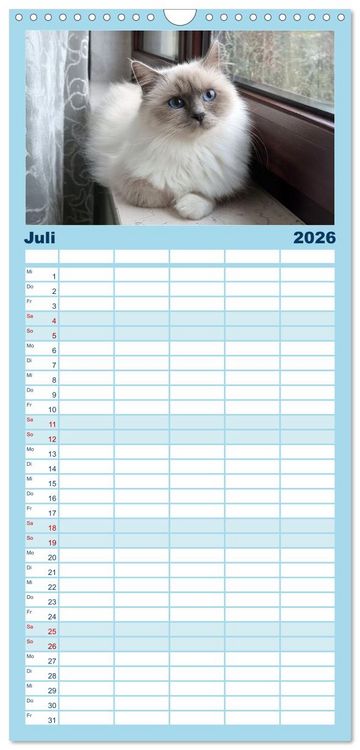 Produktbild: Familienplaner 2026 - Heilige Birma Katzen Kalender mit 5 Spalten (Wandkalender, 21 x 45 cm) CALVENDO