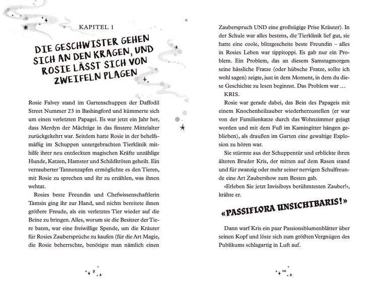 Produktbild: Merdyns magische Missgeschicke - Die Rache des Vandalen