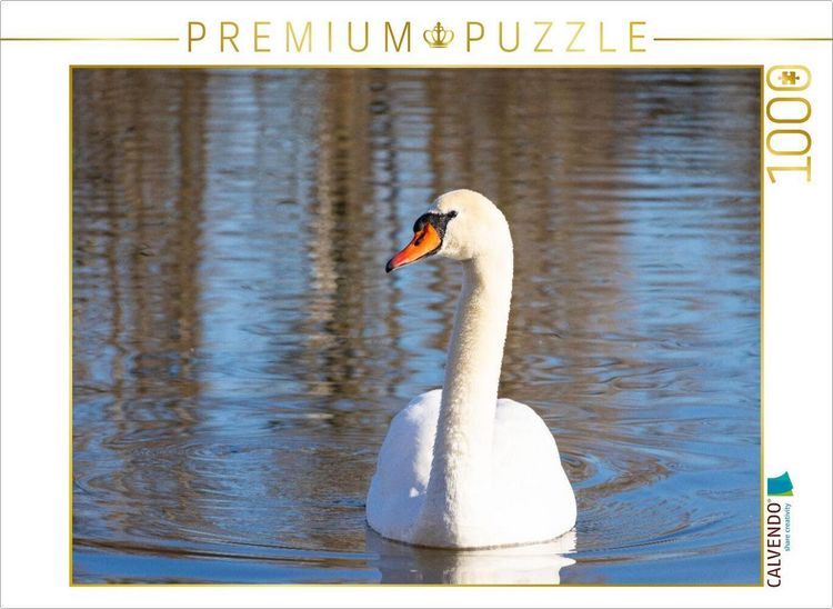 Produktbild: CALVENDO Puzzle Schwan | 1000 Teile Lege-Gr&ouml;&szlig;e 64x48cm Foto-Puzzle f&uuml;r gl&uuml;ckliche Stunden
