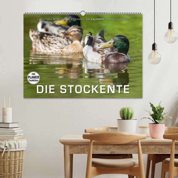 Produktbild: Emotionale Momente: Die Stockente. (Wandkalender 2026 DIN A2 quer), CALVENDO Monatskalender