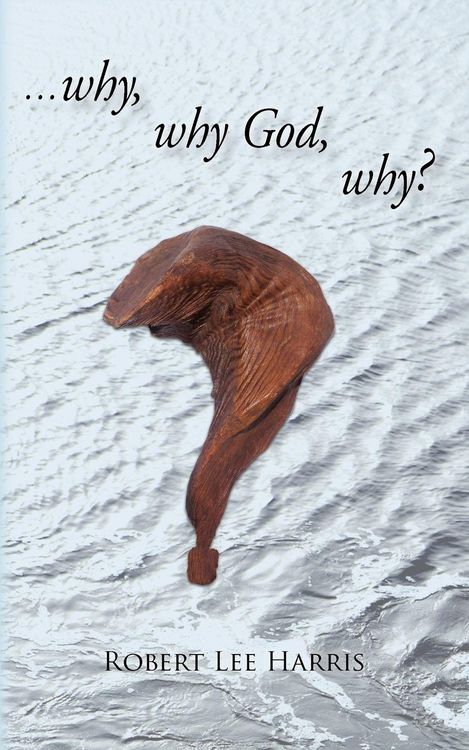 Produktbild: Why, Why God, Why?