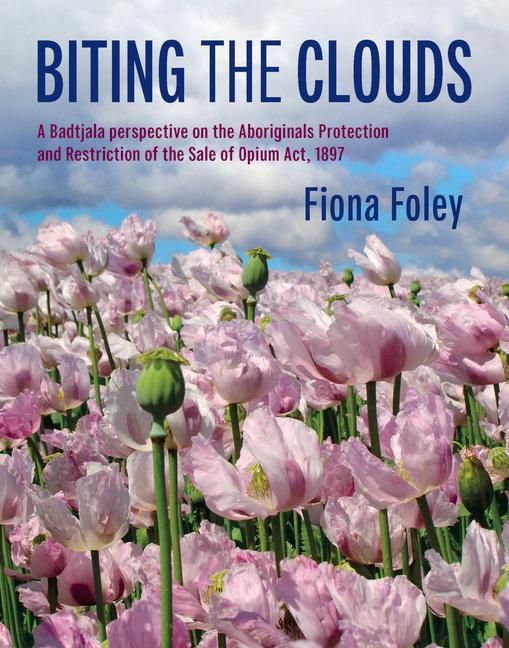 Produktbild: Biting the Clouds