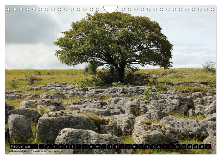 Produktbild: Traumhafte Yorkshire Dales (Wandkalender 2026 DIN A4 quer), CALVENDO Monatskalender