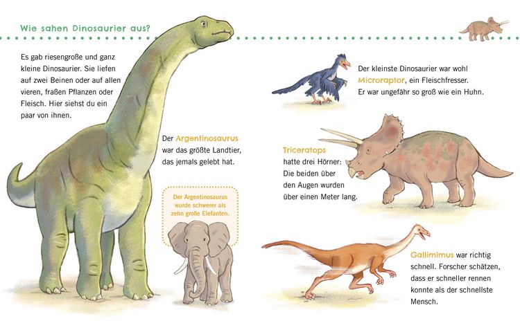 Produktbild: Unkaputtbar: Erstes Wissen: Dinosaurier