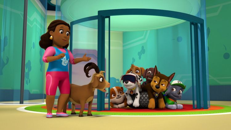Produktbild: Paw Patrol: Die Fellfreunde l&ouml;sen ein R&auml;tsel