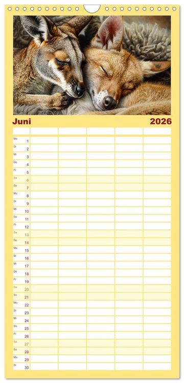 Produktbild: Familienplaner 2026 - Wenn Vertrauen siegt mit 5 Spalten (Wandkalender, 21 x 45 cm) CALVENDO