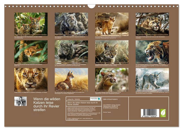 Produktbild: Wenn die wilden Katzen leise durch ihr Revier streifen (Wandkalender 2026 DIN A3 quer), CALVENDO Monatskalender
